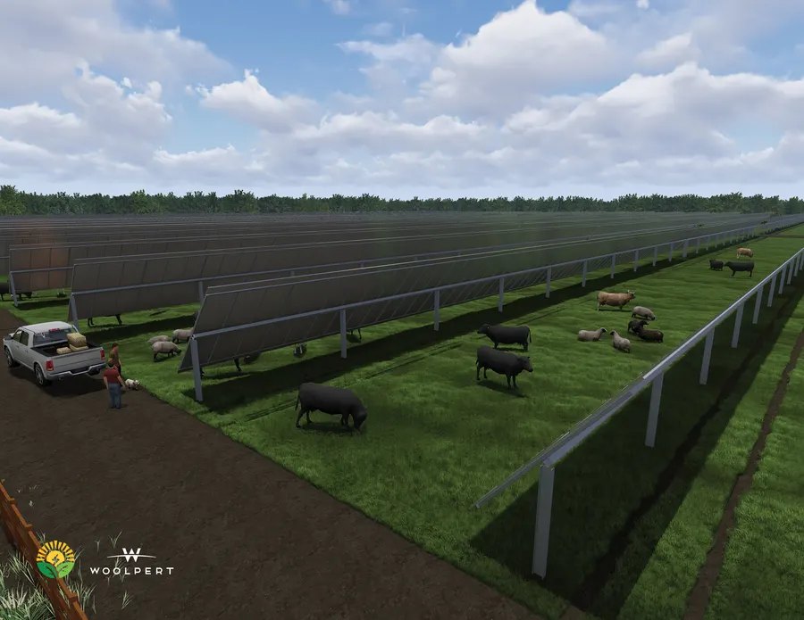 Solargation® pasture rendering